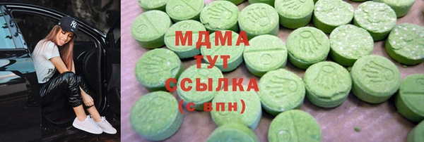 индика Богородск
