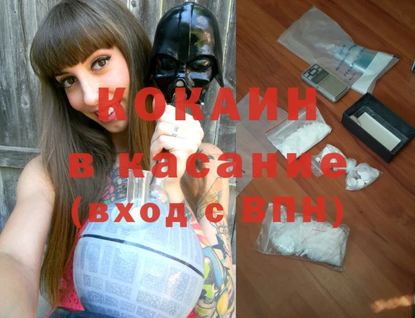 индика Богородск