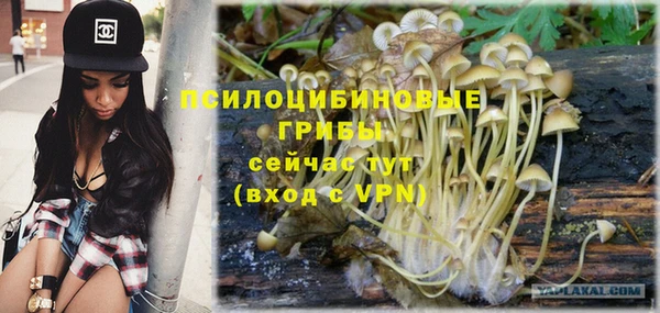 гидропоника Новодвинск