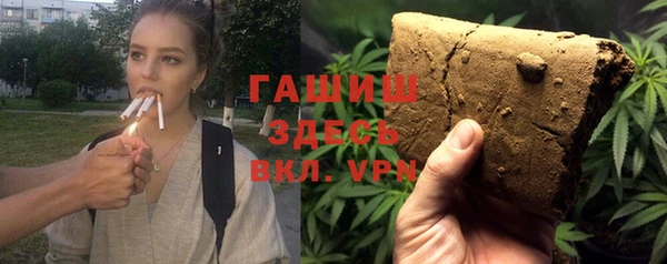 индика Богородск